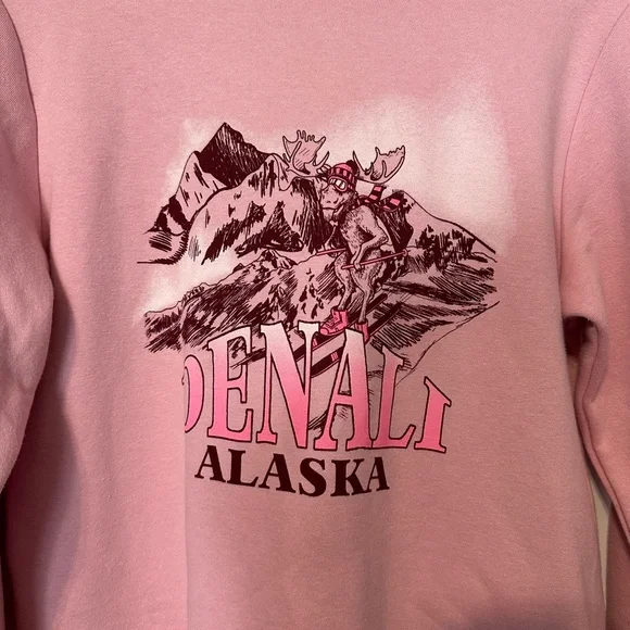 Girls Pink Sweatshirt / Hoodie,, Size XL 14/16, NWoT - Picture 5 of 8